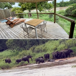 Lion Sands Lodge Villa