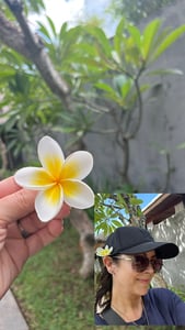 Bali Frangipani